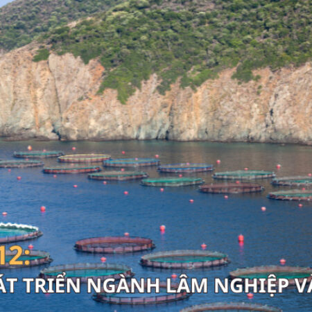 Địa 12 bài 12:Vấn đề phát triển ngành lâm nghiệp và thuỷ sản