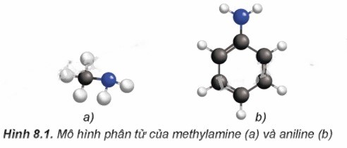 mô hình phân tử của methylamine và anilin