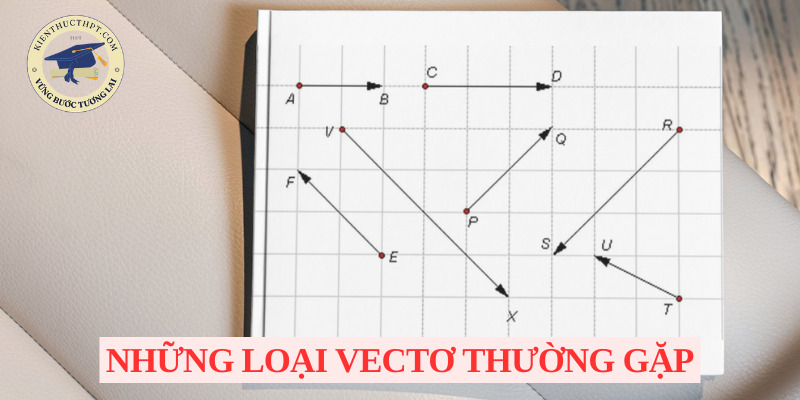 Những loại vectơ thường gặp