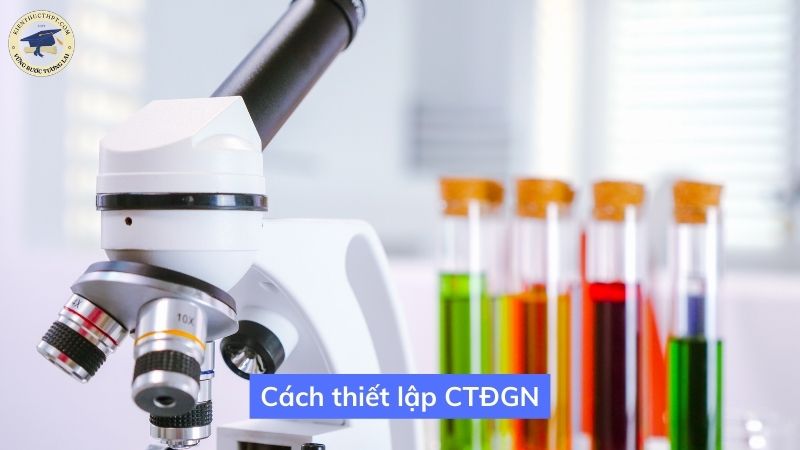 Cách thiết lập CTĐGN