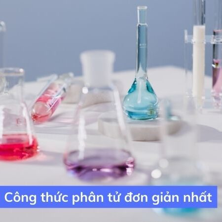 Cách lập công thức phân tử hợp chất hữu cơ – Hóa học 11