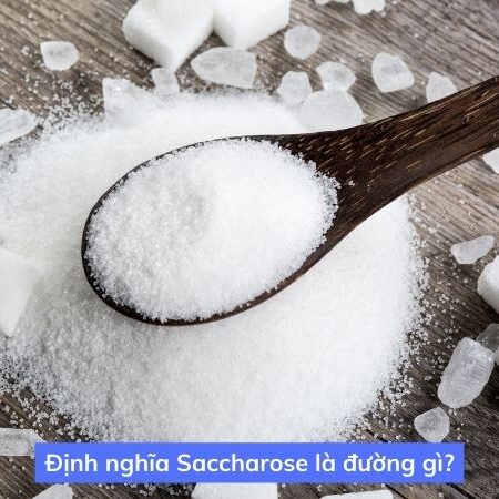 Saccharose là gì? Công thức cấu tạo của Saccharose – Hóa 12