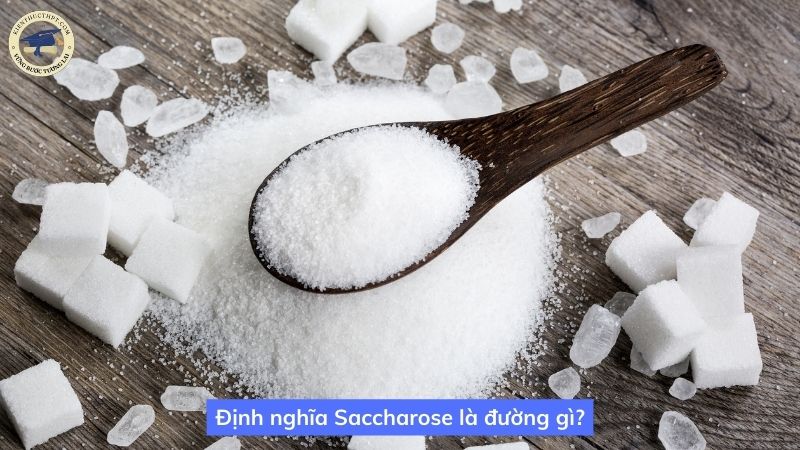 Định nghĩa Saccharose là đường gì?