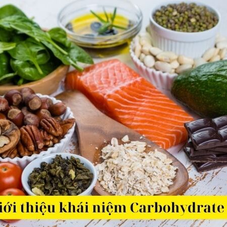 Carbohydrate là gì? Phân loại Carbohydrate Hóa học 12 KNTT