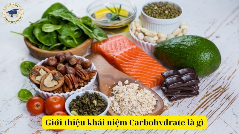 Giới thiệu khái niệm Carbohydrate là gì