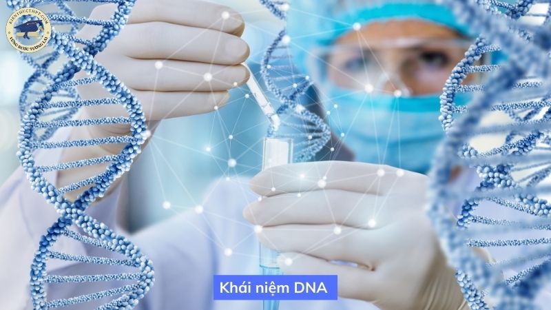 Khái niệm DNA 