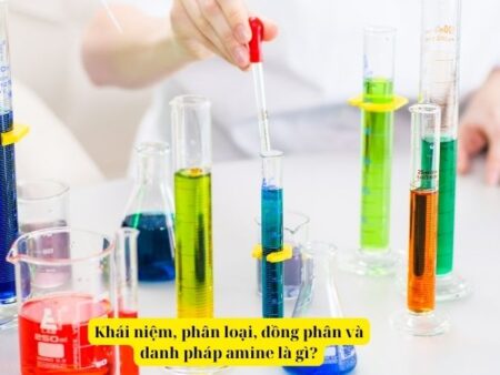 Lý thuyết môn hóa 12 bài 8: Amine là gì? Kết nối tri thức