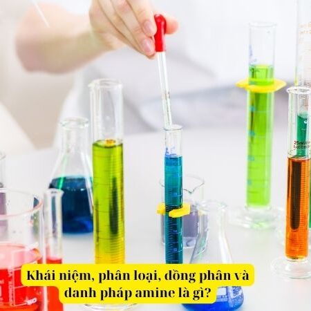 Lý thuyết hóa 12 bài 8: Amine là gì? – Kết nối tri thức