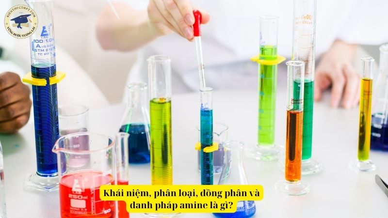 Khái niệm, phân loại, đồng phân và danh pháp amine là gì?