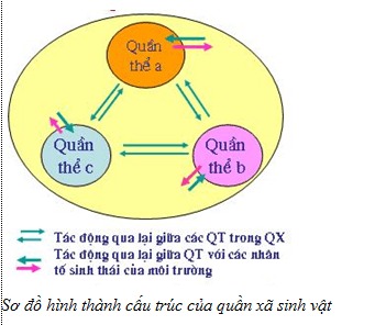 Khái niệm về quần xã sinh vật