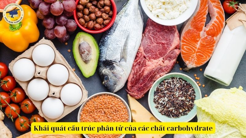 Khái quát cấu trúc phân tử của các chất carbohydrate