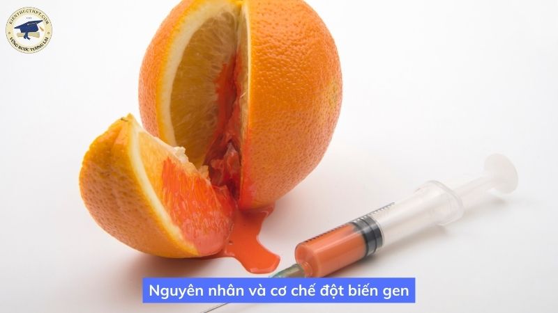 Nguyên nhân và cơ chế đột biến gen