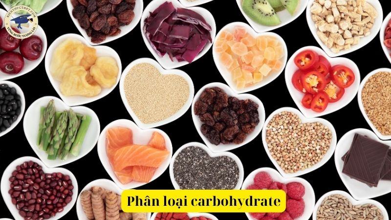 Phân loại carbohydrate