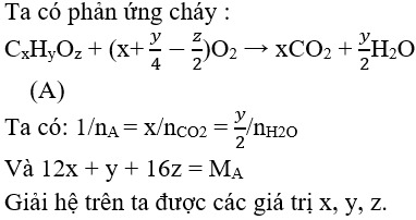 Qua khối lượng của sản phẩm cháy