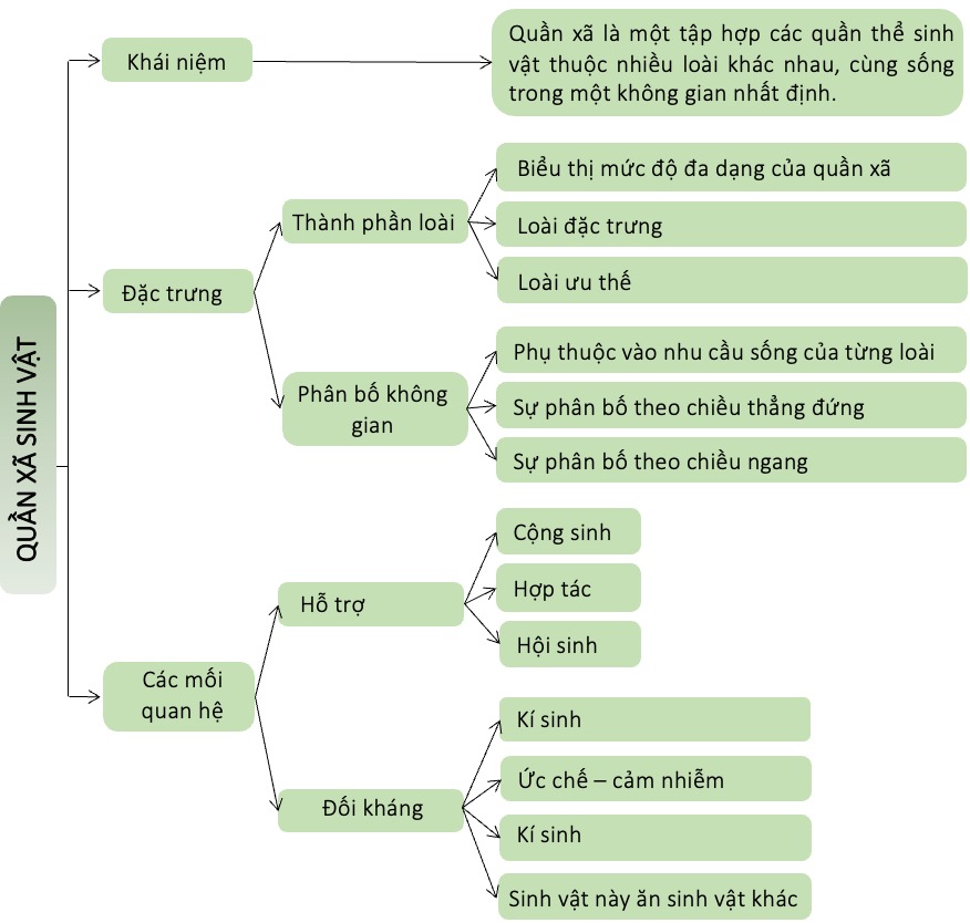 Sơ đồ tư duy quần xã sinh vật