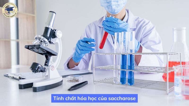 Tính chất hóa học của saccharose