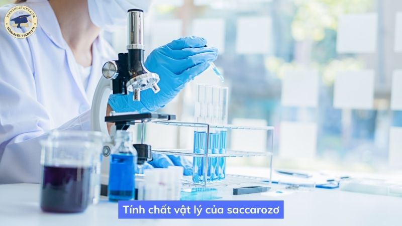 Tính chất vật lý của saccarozơ