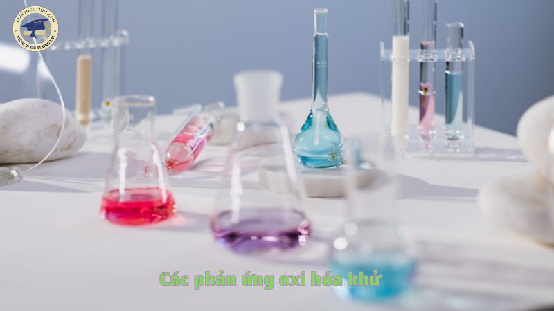 Các phản ứng oxi hóa khử