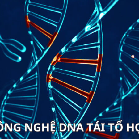 Công nghệ DNA tái tổ hợp là gì? Sinh học 12 Kết nối tri thức