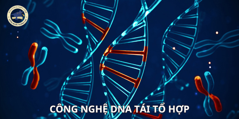 Công nghệ DNA tái tổ hợp