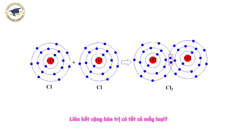 Liên kết cộng hóa trị có tất cả mấy loại?