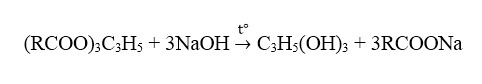 Phản ứng thủy phân 4