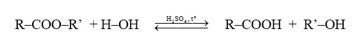 Phản ứng thủy phân