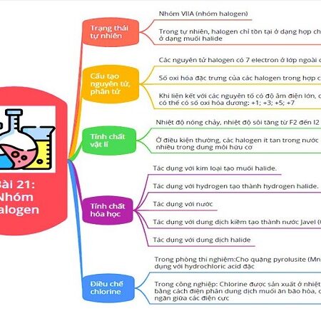 Lý thuyết hóa học 10 bài 21: Nhóm halogen – KNTT trang 104