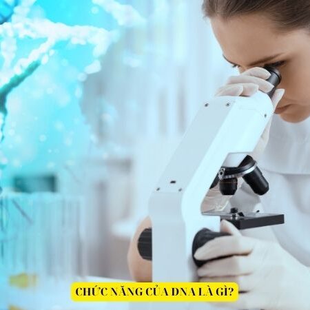 Giải bài tập Sinh học 12 – Bài 1: DNA và cơ chế tái bản DNA