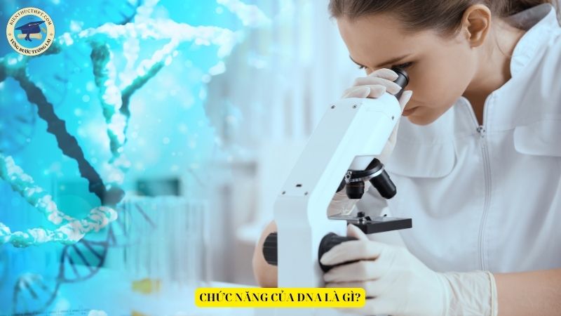 Chức năng của DNA là gì?