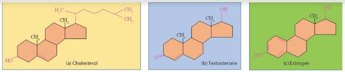 Một số steroid phổ biến trong cơ thể sinh vật