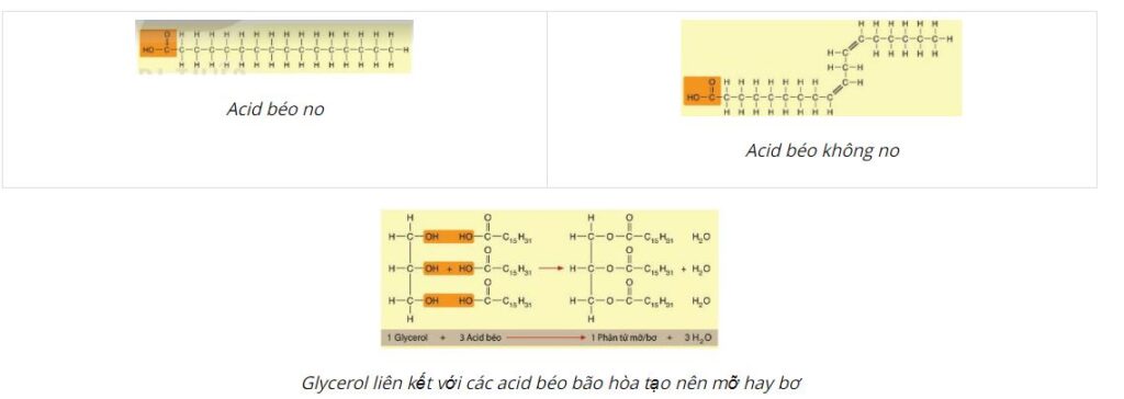 Cấu trúc