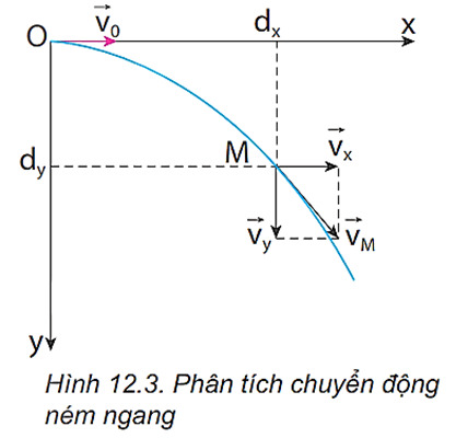 Chuyển động ném 3