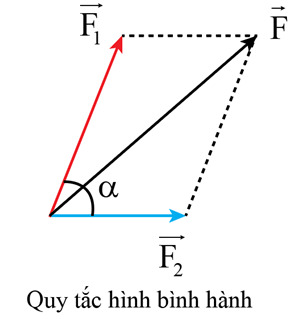 Tổng hợp lực 5 