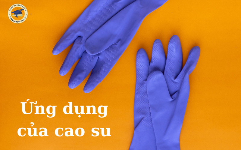 Ứng dụng của cao su