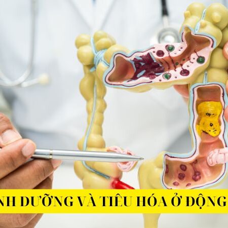 Bài 8 – Dinh dưỡng và tiêu hóa ở động vật | Sinh học 11