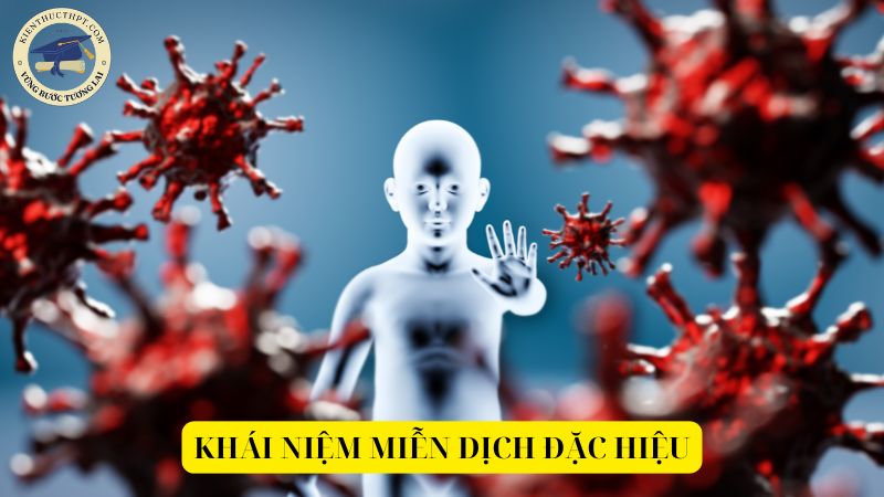 Khái niệm miễn dịch đặc hiệu