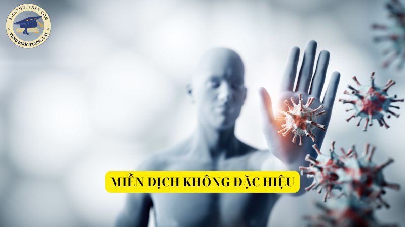 Miễn dịch không đặc hiệu