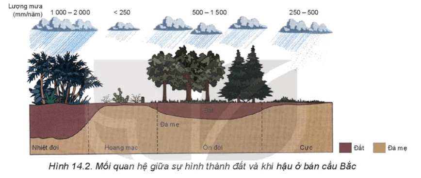 Mối quan hệ giữa sự hình thành của đất và khí hậu bán cầu Bắc