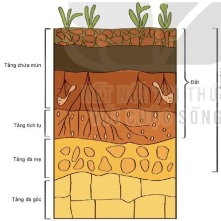 Lý thuyết bài 14 đất trên Trái Đất lớp 10 – Kết nối tri thức