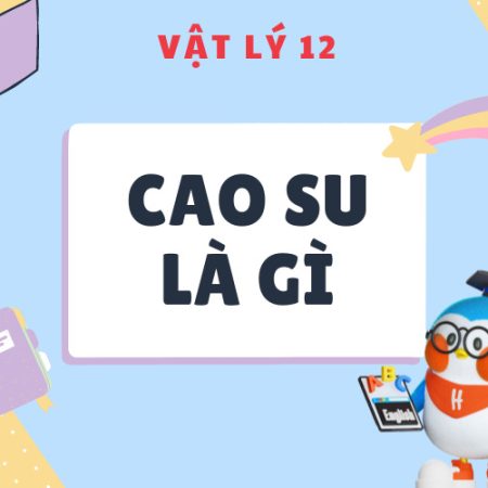 Cao su là gì? Phân biệt cao su tự nhiên và cao su tổng hợp