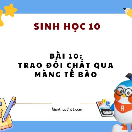 Giải Bài 10 Sinh 10 Kết nối tri thức Đầy đủ và chi tiết nhất