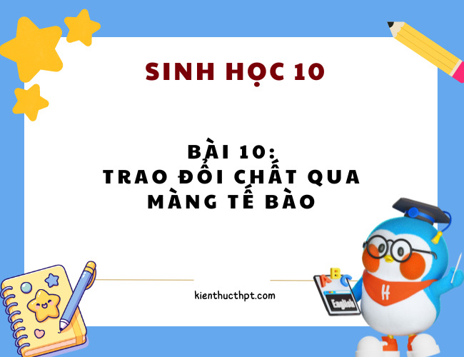 Giải Bài 10 Sinh 10 Kết nối tri thức – (Đầy đủ và chi tiết)