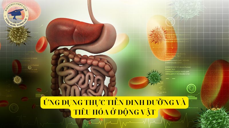 Ứng dụng thực tiễn dinh dưỡng và tiêu hóa ở động vật