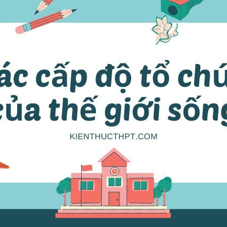 Lý thuyết sinh 10 bài 3 Các cấp độ tổ chức của thế giới sống