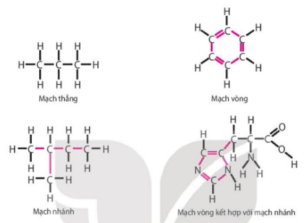 Các nguyên tử carbon có thể liên kết với nhau theo nhiều cách tạo nên các hợp chất hữu cơ có cấu trúc và chức năng rất khác nhau