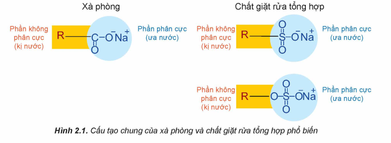 cấu tạo của xà phòng và chất giặt rửa