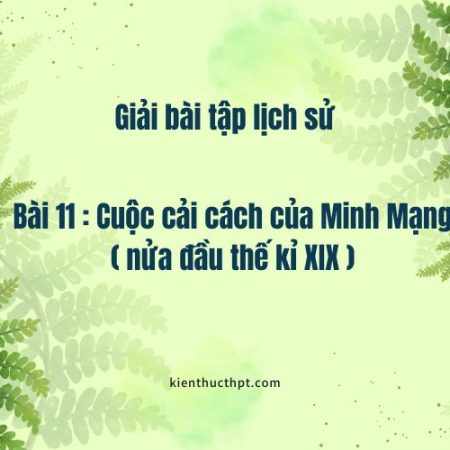 Giải Sử 11: Cuộc cải cách của Minh Mạng nửa đầu thế kỷ XIX