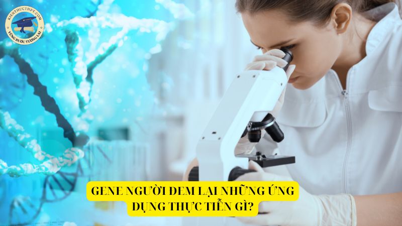 gene người đem lại những ứng dụng thực tiễn gì?