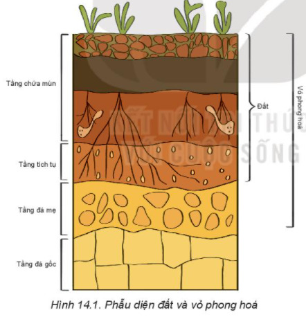 Giải Địa 10 Bài 14: Đất trên Trái Đất 1